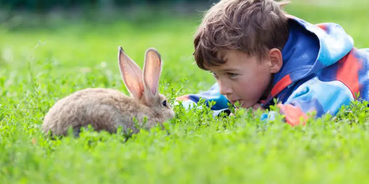 The Perfect First Pets for Children