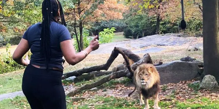 Lion Sees Caretaker After 8 Years – Pay Close Attention To His Reaction!